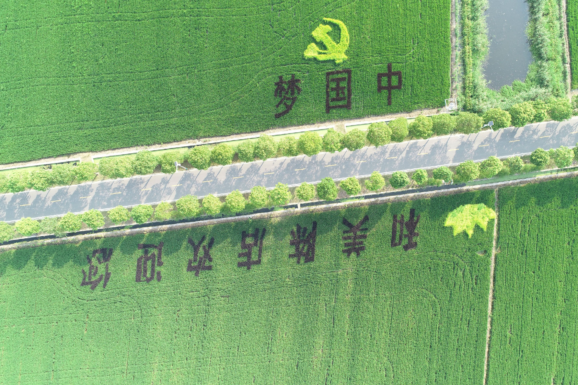 282071450749179530.jpg