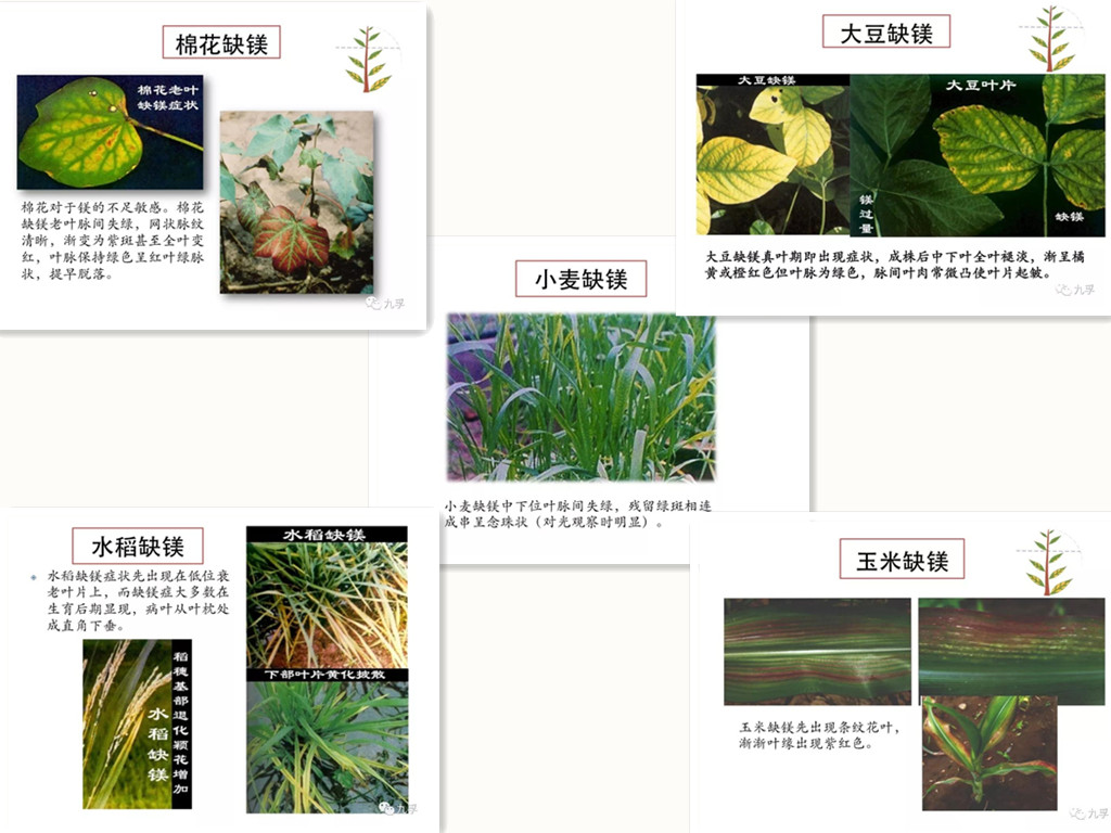 微信图片_213_副本.jpg
