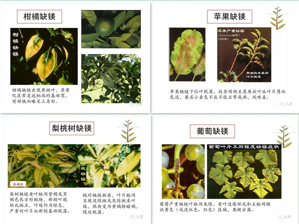 微信图片_34_副本.jpg