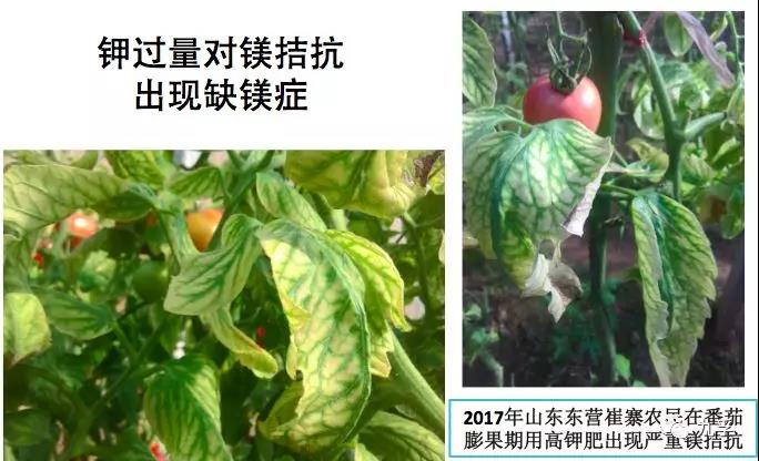 微信图片_20181022104701.jpg