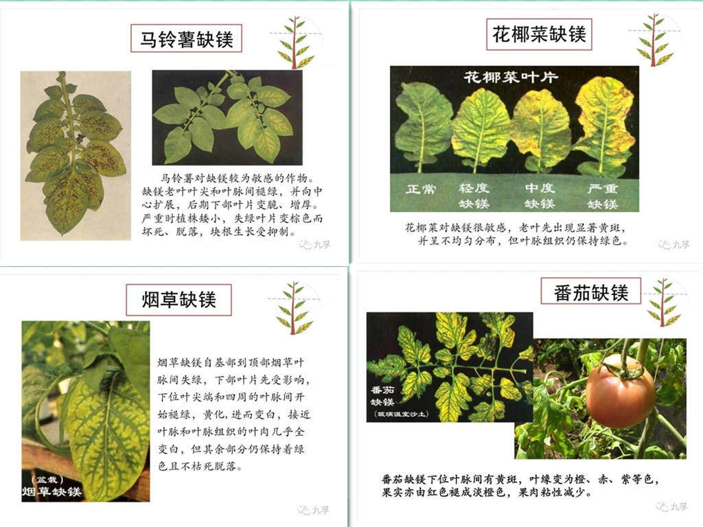 微信图片_23_副本.jpg