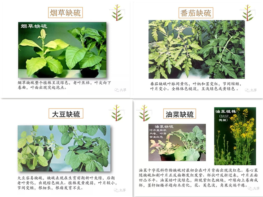 微信图片_2018102913本.jpg