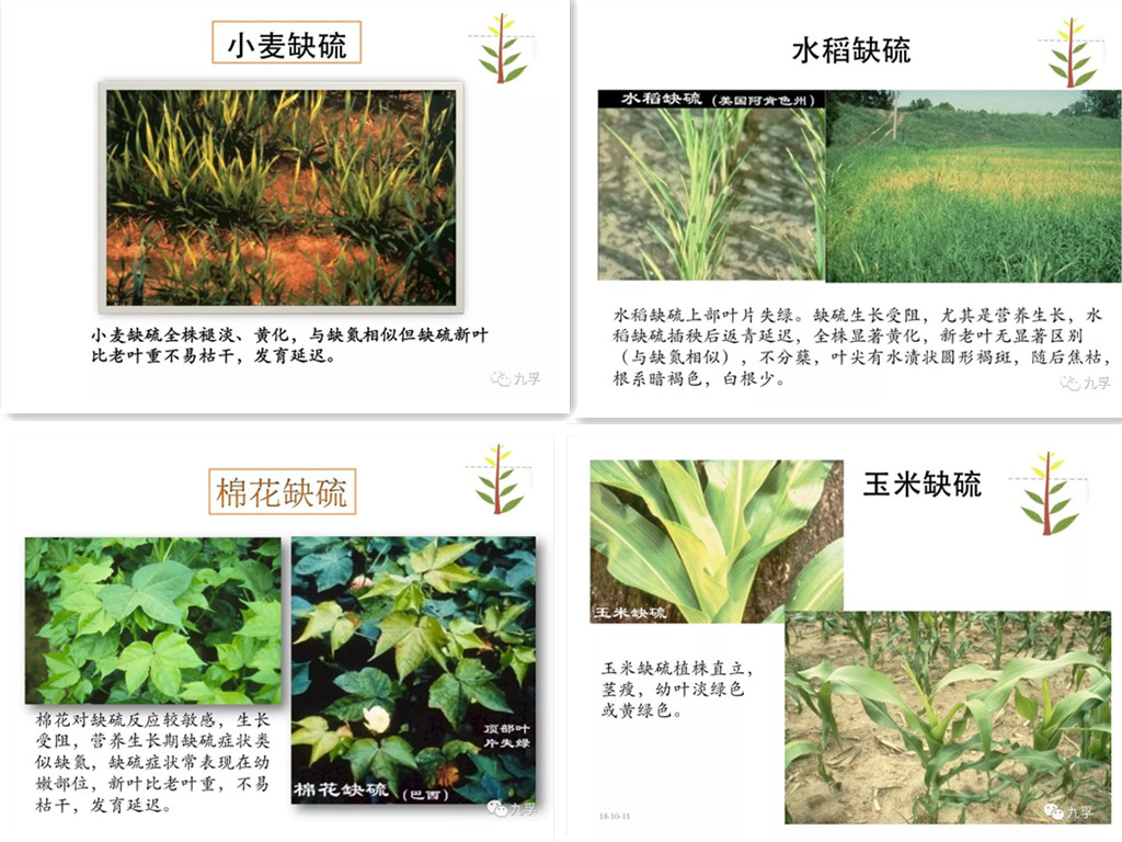 微信图片_20181029135441_副本.jpg