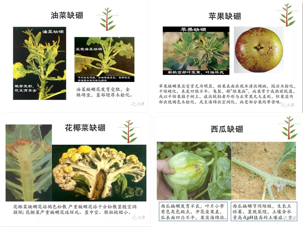微信图片_2_副本.jpg