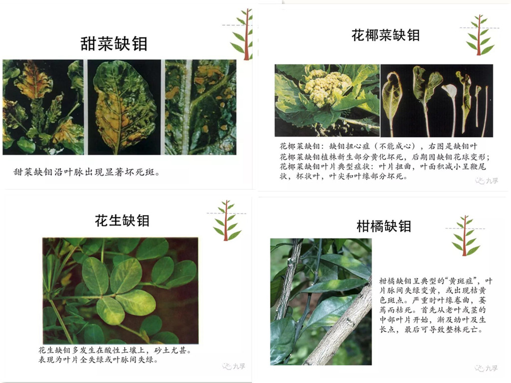 微信图片_200_副本.jpg