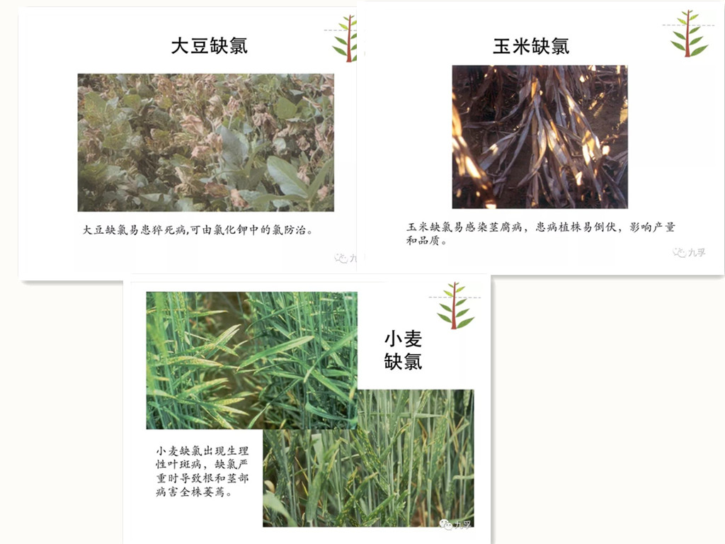 微信图片_20.jpg