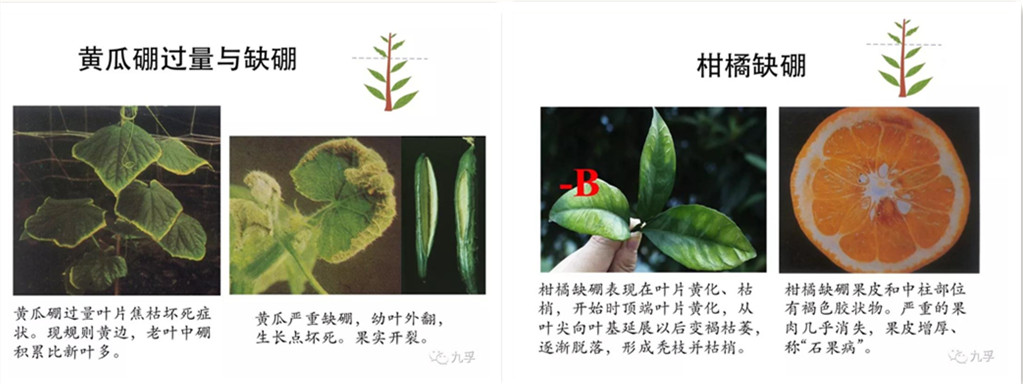 微信图片_2副本.jpg