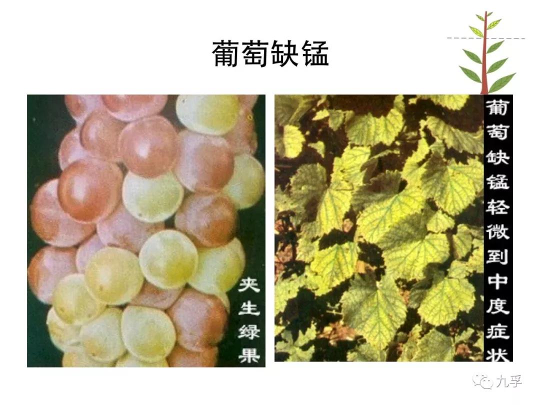 微信图片_20181105152040.jpg