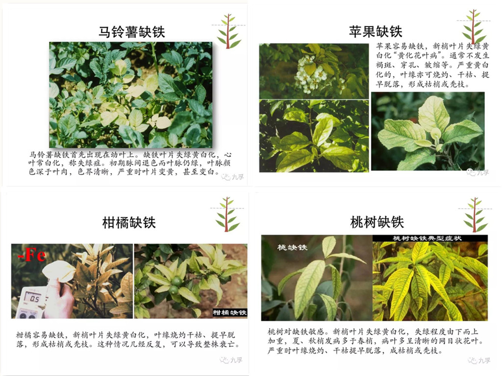 微信图片_20151830_副本.jpg