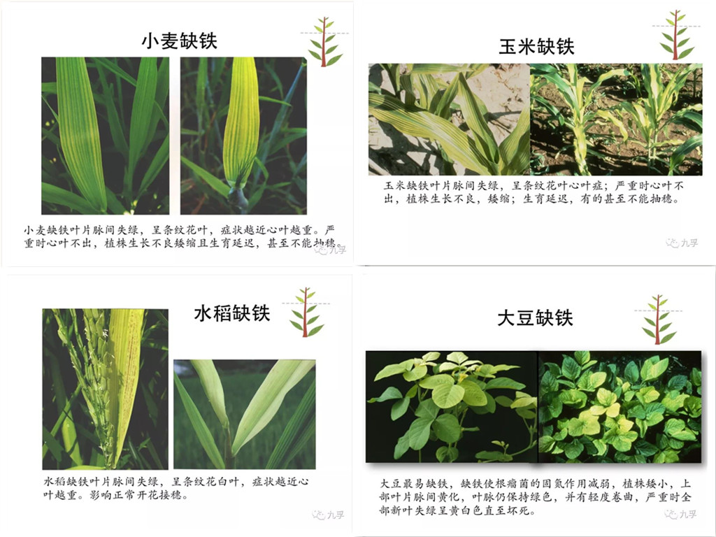 微信图片_20_副本.jpg