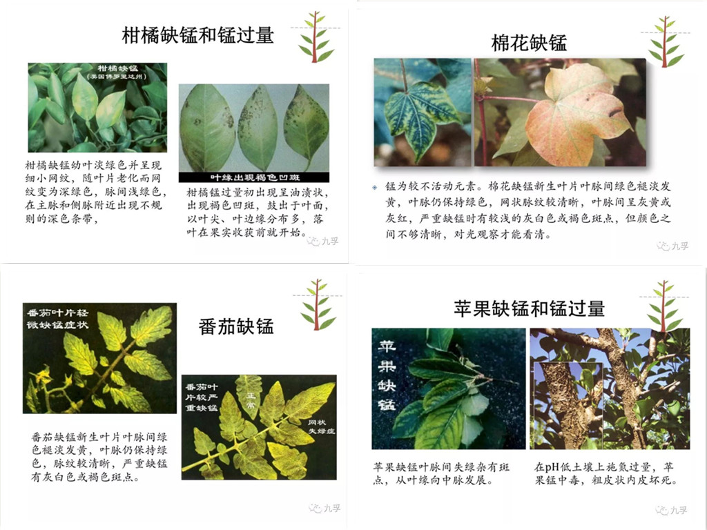 微信图片_201810_副本.jpg