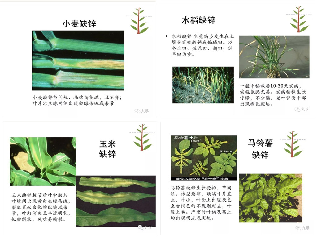 微信图片_201811_副本.jpg