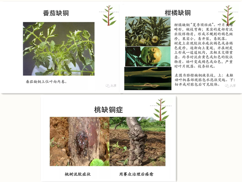 微信图片_201811.jpg