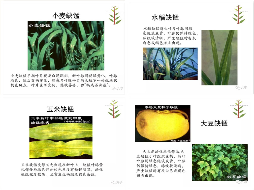 微信图片_20181130_副本.jpg