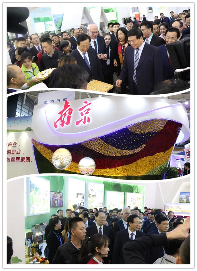 微信图片_20181117172924.jpg