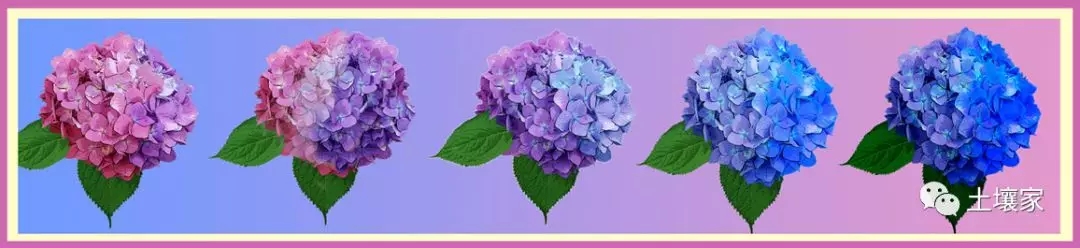 1.webp.jpg