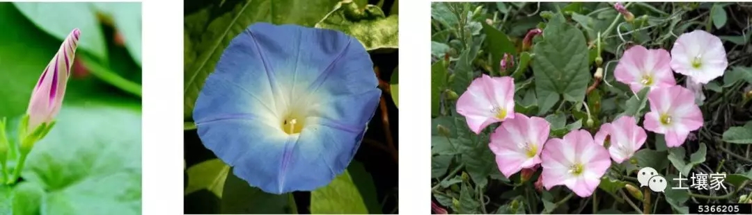 2.webp.jpg