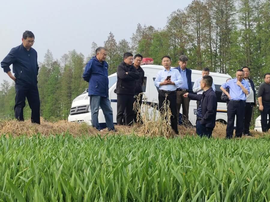 助推农业新质生产力质态跃升