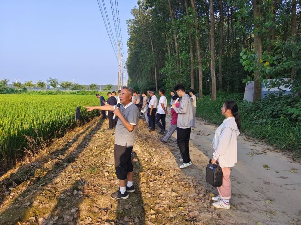 科学施肥助力稻麦生产高产、高效、环保