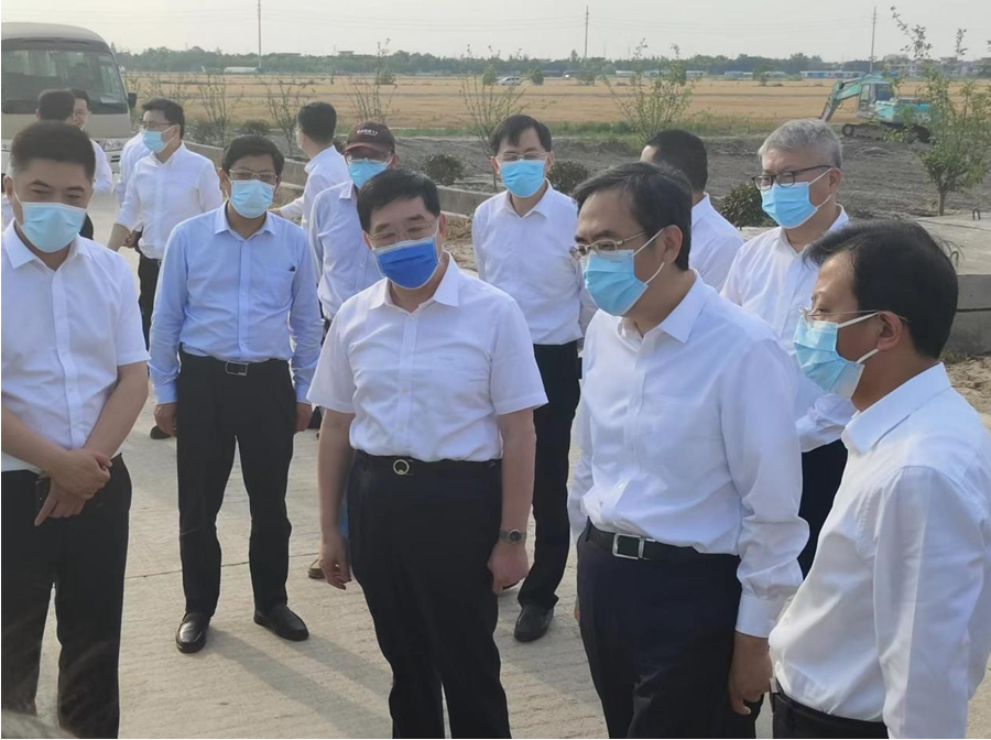 南通市委书记王晖调研通州区高标准农田建设