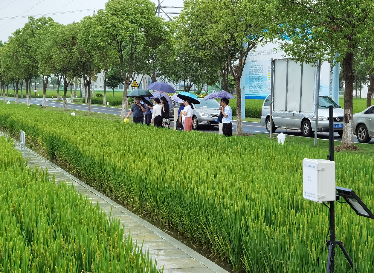 全省首家集农情、农水、农机、农事智能化管理为一体的数字农业综合示范区在太仓建立